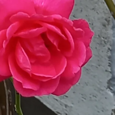 펜션 Residenza Verdeazzurra Vela