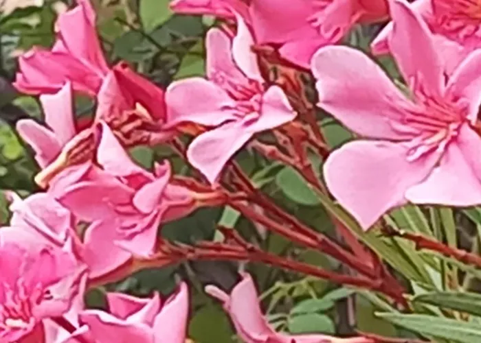 Residenza Verdeazzurra 度假居 Vela