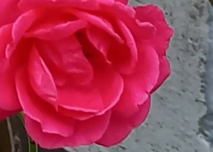 펜션 Residenza Verdeazzurra Vela